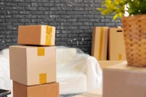 کارتن بسته بندی لوازم خانگی 5 کارتن بسته بندی لوازم خانگی
